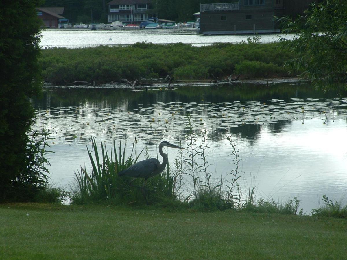 Wildwood On The Lake Lake Placid Exteriér fotografie